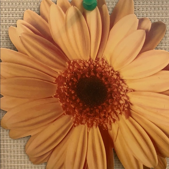 Meet your Posher, Lisa - Picture 1 of 1